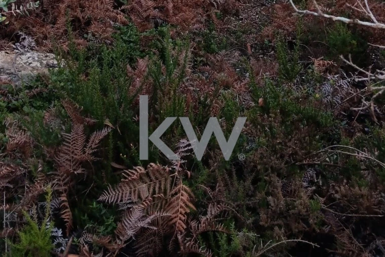 Terreno para Venda em Malveira e São Miguel de Alcainça Foto 13