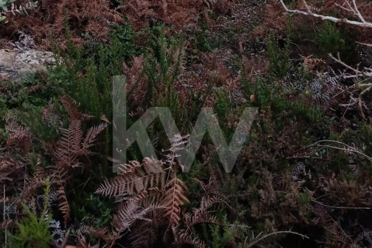 Terreno para Venda em Malveira e São Miguel de Alcainça Foto 8
