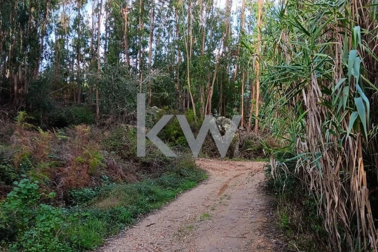 Terreno para Venda em Malveira e São Miguel de Alcainça Foto 3