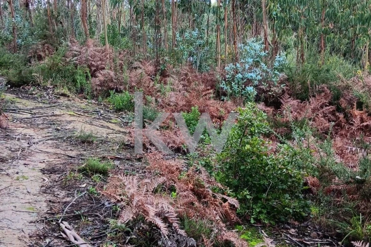 Terreno para Venda em Malveira e São Miguel de Alcainça Foto 17