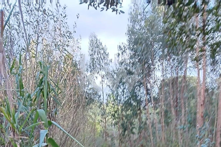 Terreno para Venda em Malveira e São Miguel de Alcainça Foto 11