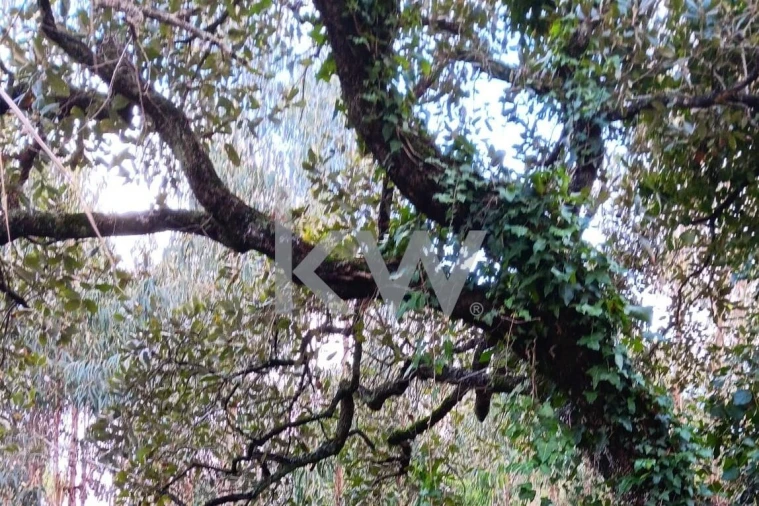 Terreno para Venda em Malveira e São Miguel de Alcainça Foto 10