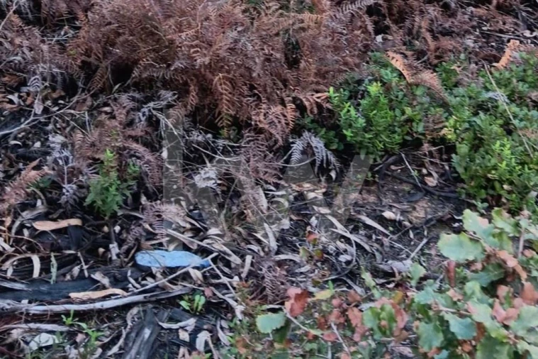 Terreno para Venda em Malveira e São Miguel de Alcainça Foto 9