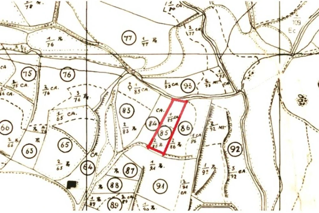 Terreno para Venda em Malveira e São Miguel de Alcainça Foto 2