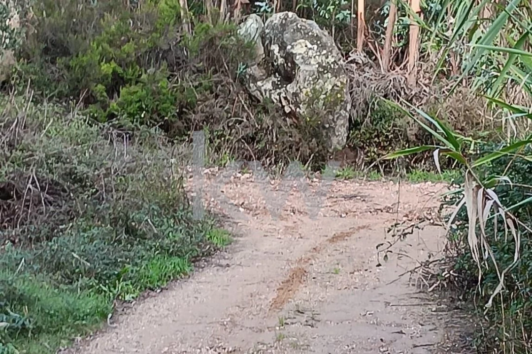 Terreno para Venda em Malveira e São Miguel de Alcainça Foto 1