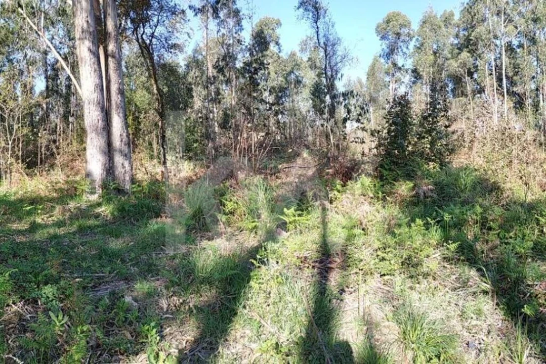 Terreno para Venda em Serzedo e Perosinho Foto 5