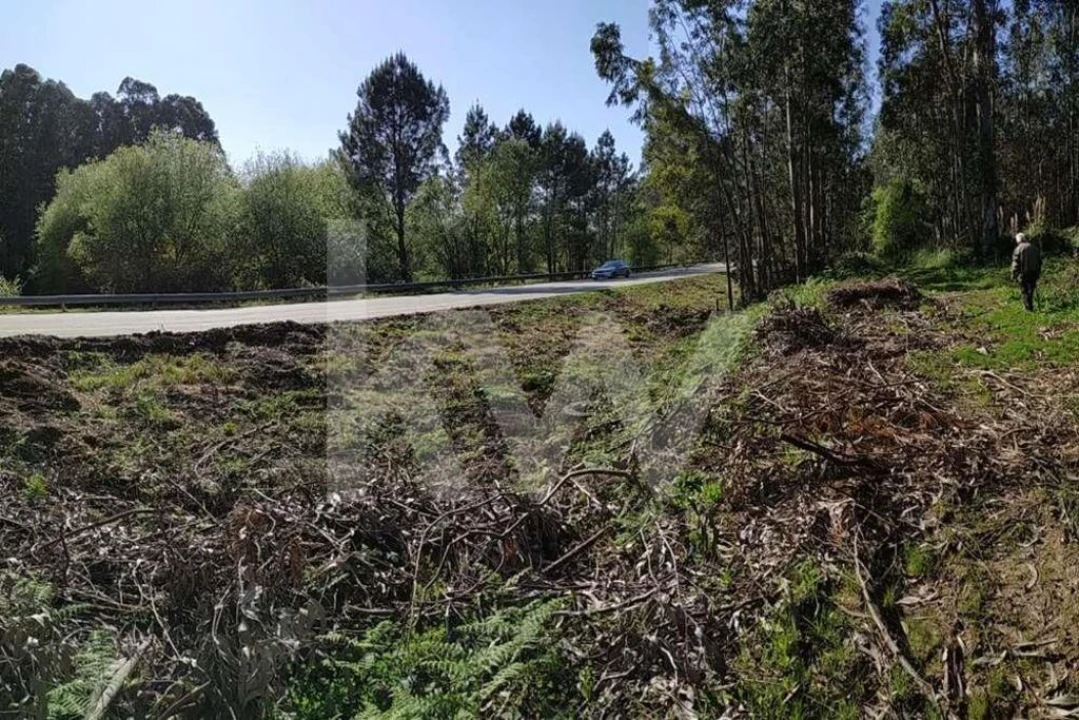 Terreno para Venda em Serzedo e Perosinho Foto 4
