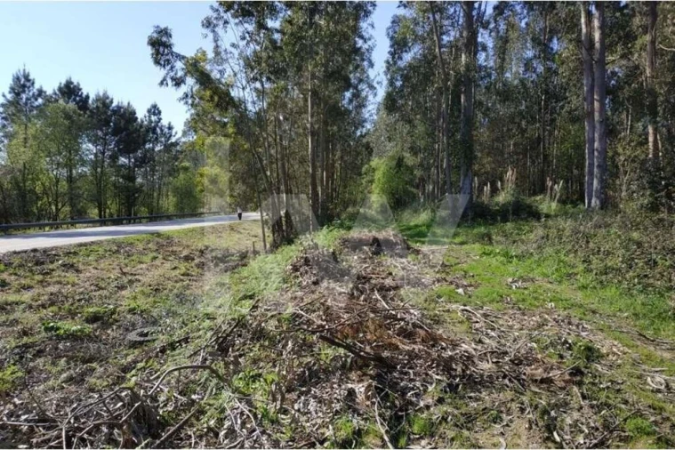 Terreno para Venda em Serzedo e Perosinho Foto 2