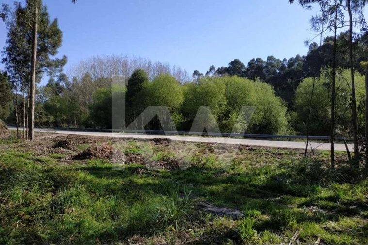 Terreno para Venda em Serzedo e Perosinho Foto 13