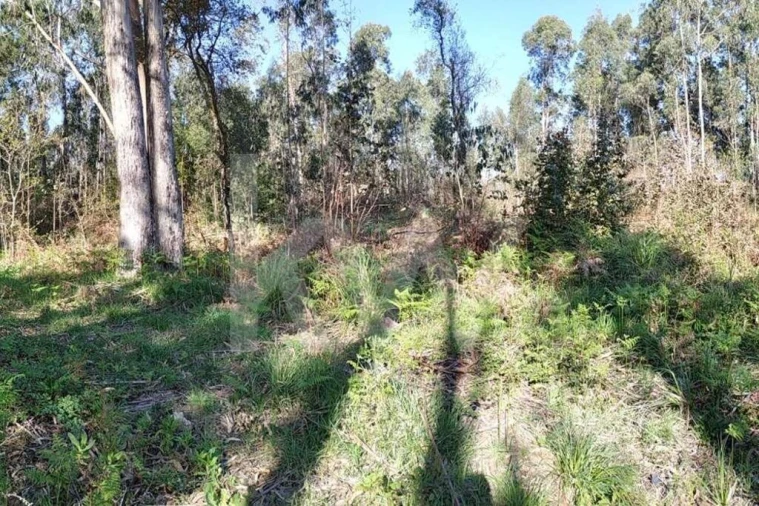 Terreno para Venda em Serzedo e Perosinho Foto 15