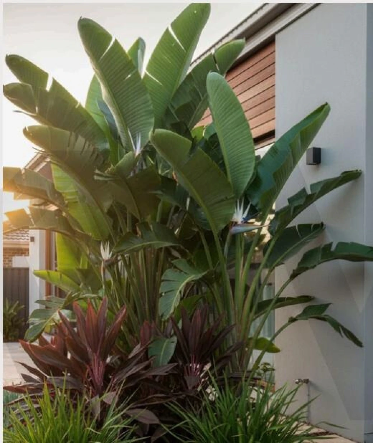 Quinta T4 para Venda em Bucelas Foto 50