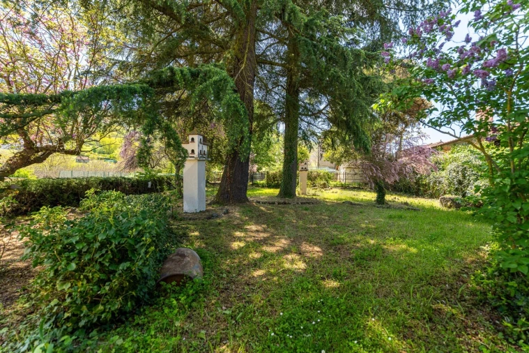 Quinta T11 para Venda em Bornes e Burga Foto 14