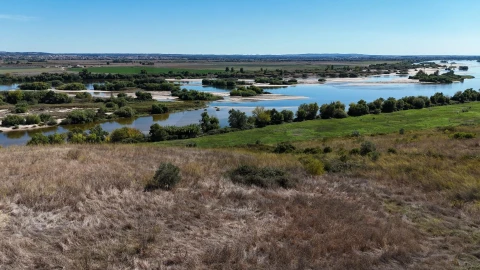 Terreno para Venda em São Vicente do Paul e Vale de Figueira