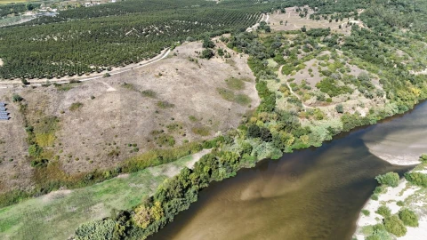 Terreno para Venda em São Vicente do Paul e Vale de Figueira