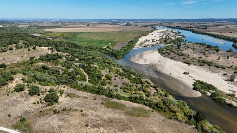 Terreno para Venda em São Vicente do Paul e Vale de Figueira