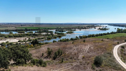 Terreno para Venda em São Vicente do Paul e Vale de Figueira