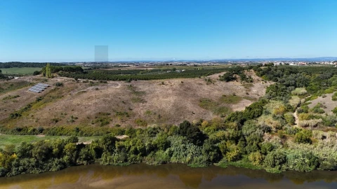 Terreno para Venda em São Vicente do Paul e Vale de Figueira