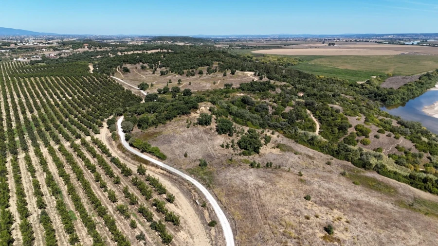 Terreno para Venda em São Vicente do Paul e Vale de Figueira Foto 6