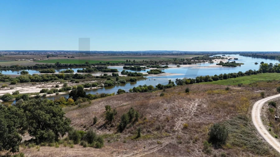 Terreno para Venda em São Vicente do Paul e Vale de Figueira Foto 9