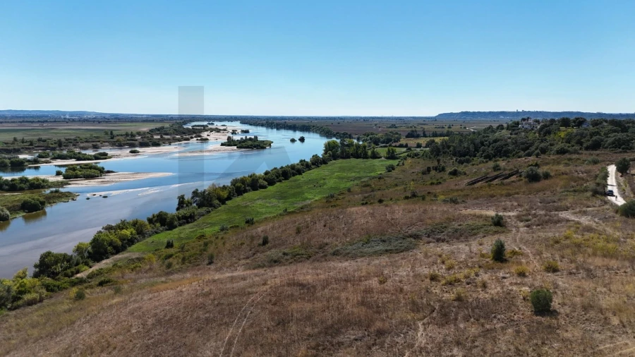 Terreno para Venda em São Vicente do Paul e Vale de Figueira Foto 10