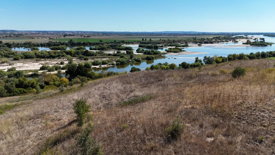 Terreno para Venda em São Vicente do Paul e Vale de Figueira Foto 17