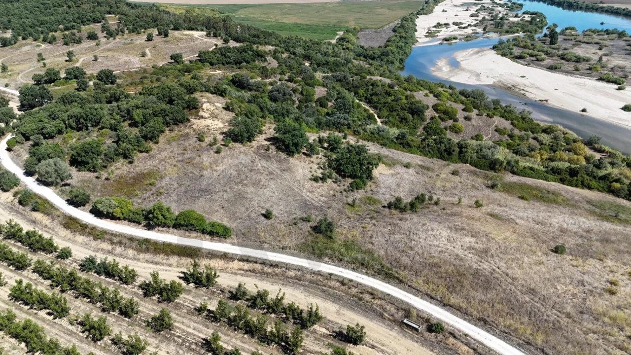 Terreno para Venda em São Vicente do Paul e Vale de Figueira Foto 8