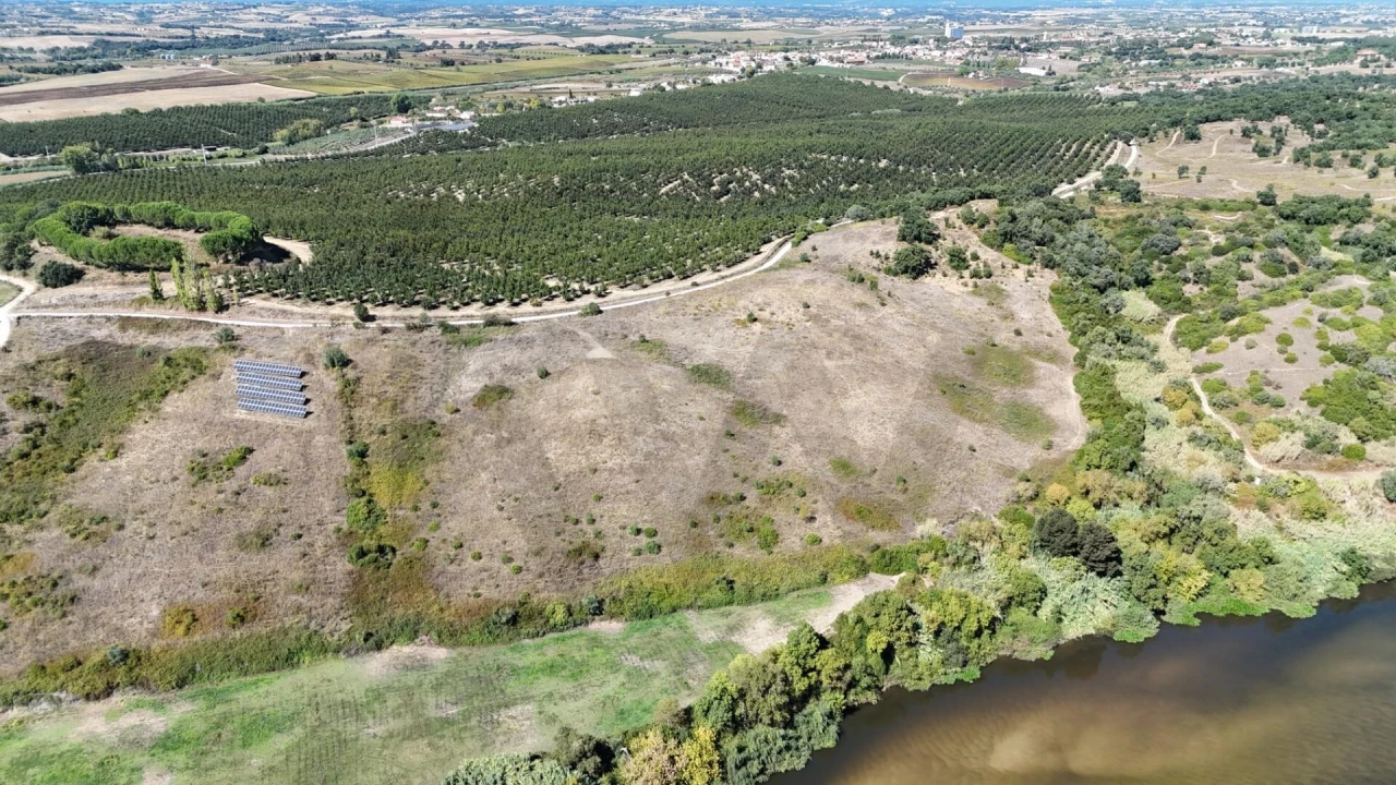 Terreno para Venda em São Vicente do Paul e Vale de Figueira Foto 5