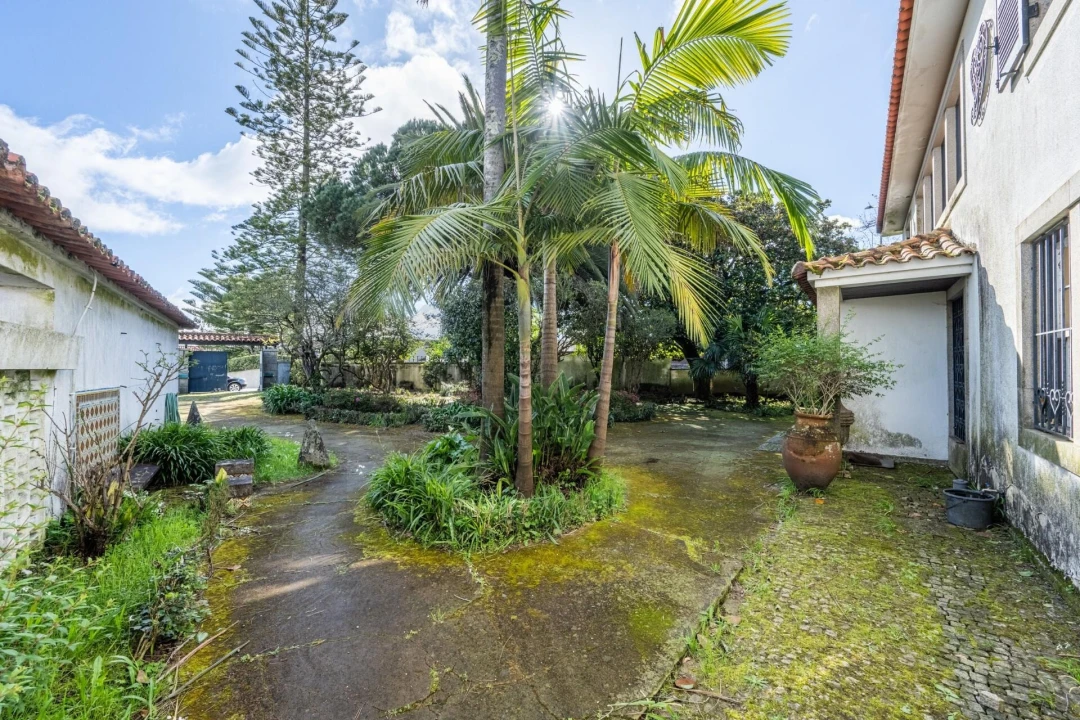 Moradia T5 para Venda em São João da Madeira Foto 4