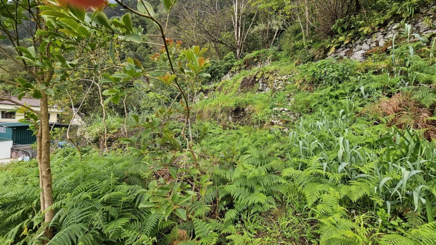 Terreno para Venda em Ponta Delgada Foto 5