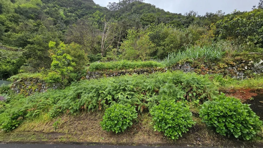 Terreno para Venda em Ponta Delgada