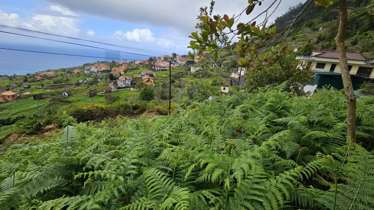 Terreno para Venda em Ponta Delgada Foto 4