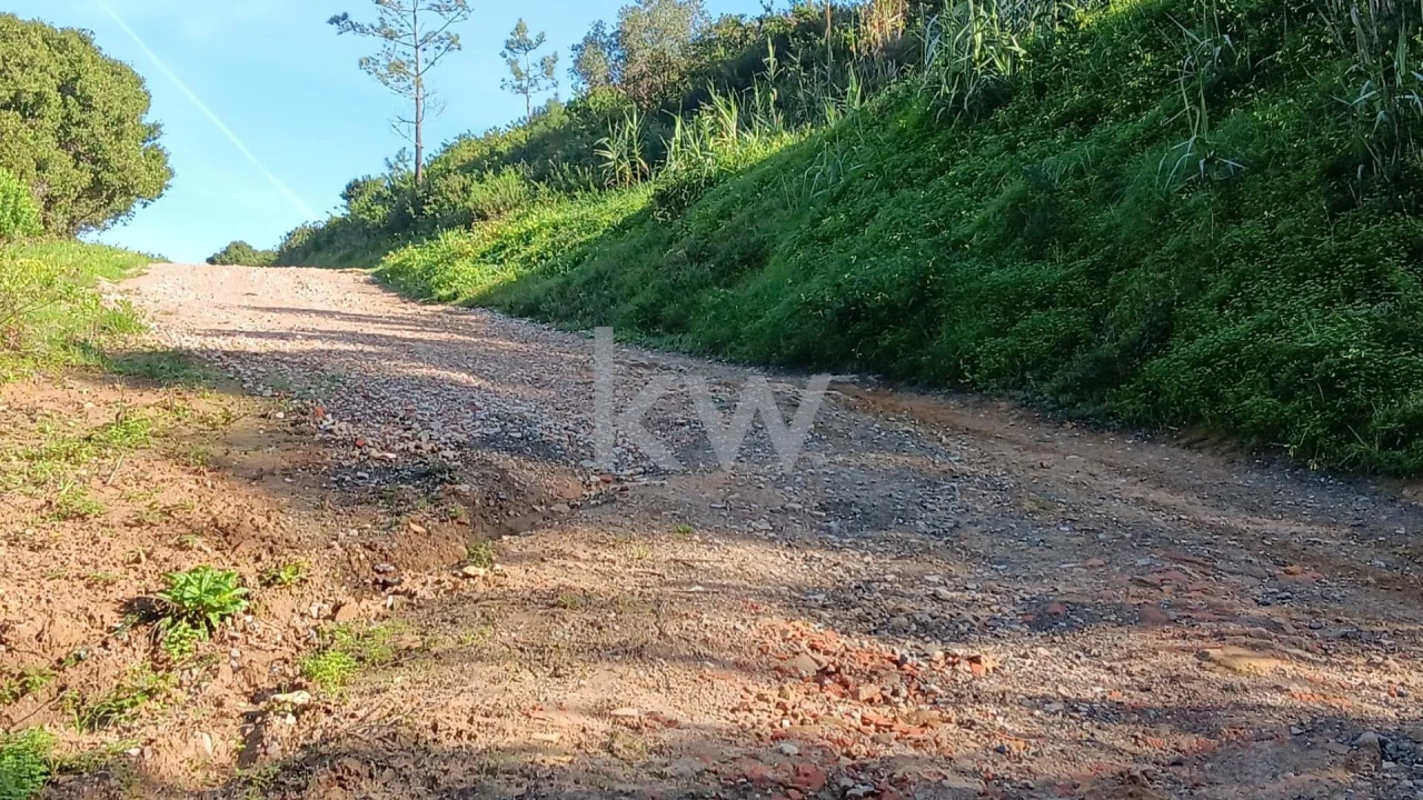 Terreno para Venda em Santo Isidoro Foto 10