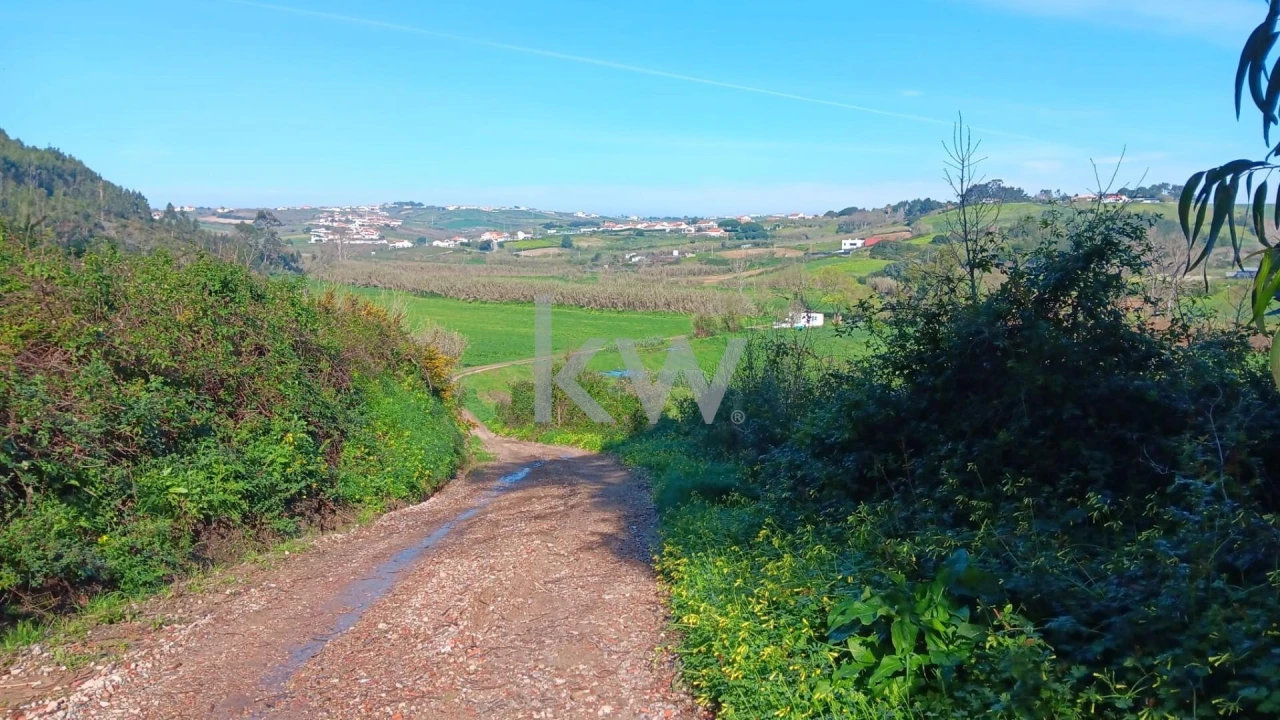 Terreno para Venda em Santo Isidoro Foto 4