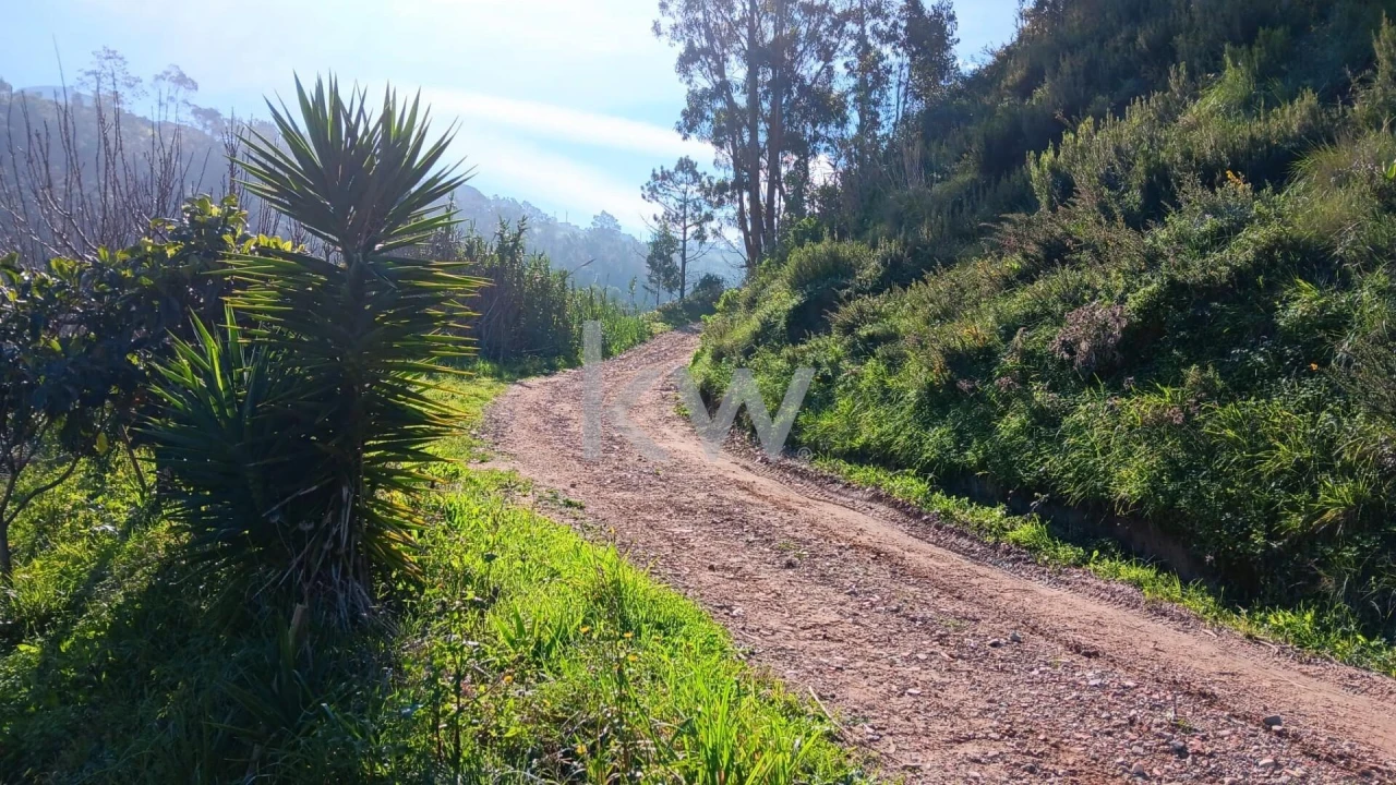 Terreno para Venda em Santo Isidoro Foto 5