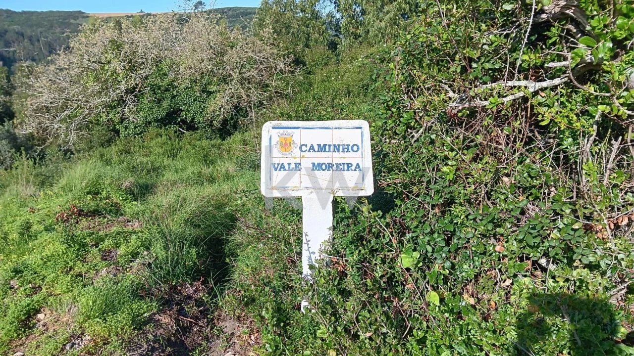 Terreno para Venda em Santo Isidoro Foto 1