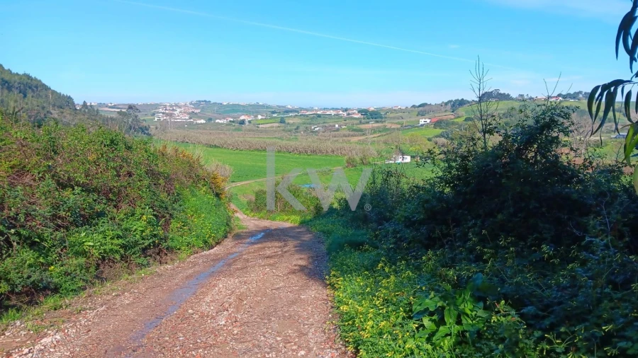 Terreno para Venda em Santo Isidoro Foto 4