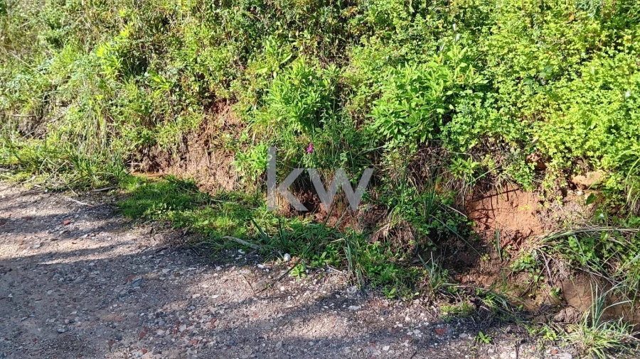 Terreno para Venda em Santo Isidoro Foto 7