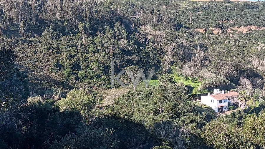 Terreno para Venda em Santo Isidoro Foto 11