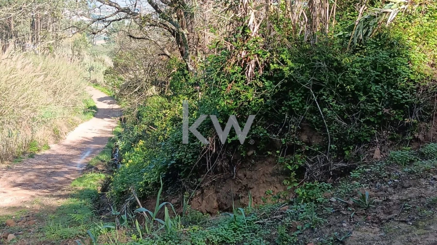 Terreno para Venda em Santo Isidoro Foto 8