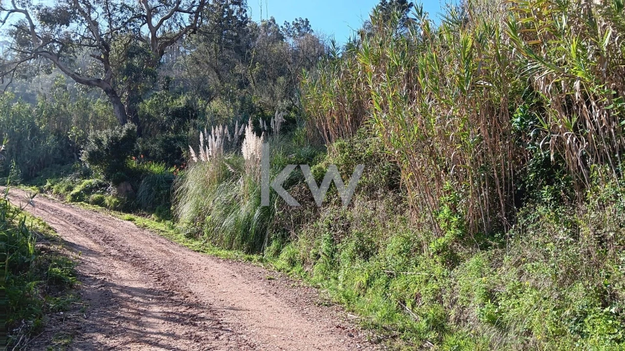 Terreno para Venda em Santo Isidoro Foto 6