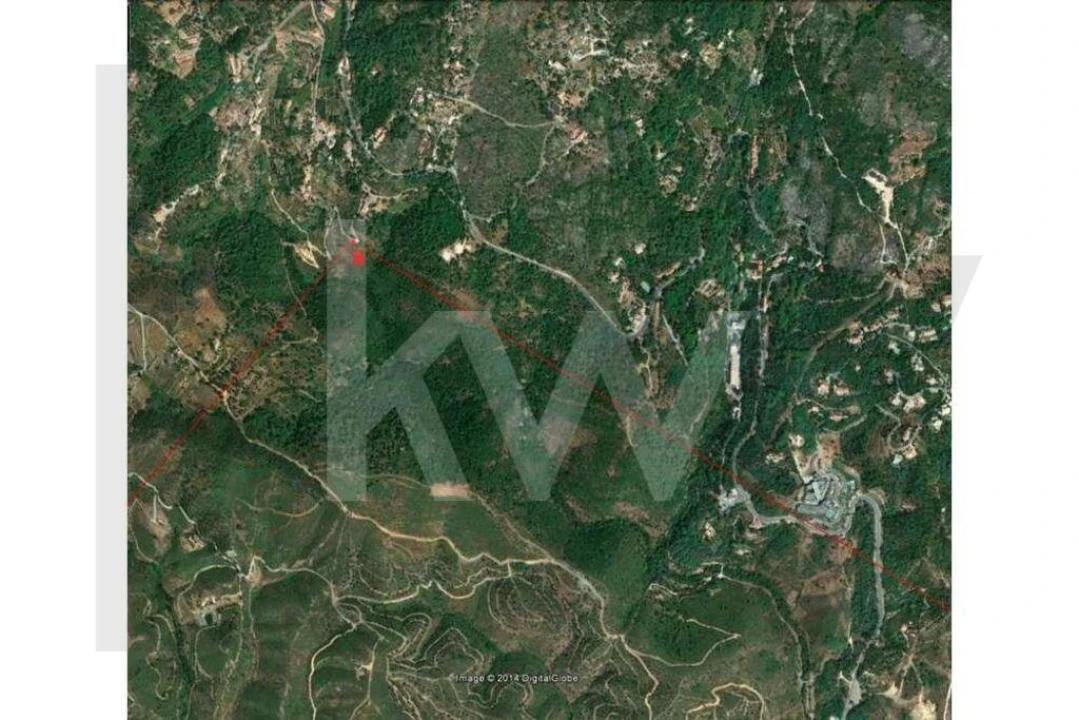 Terreno para Venda em Monchique Foto 8