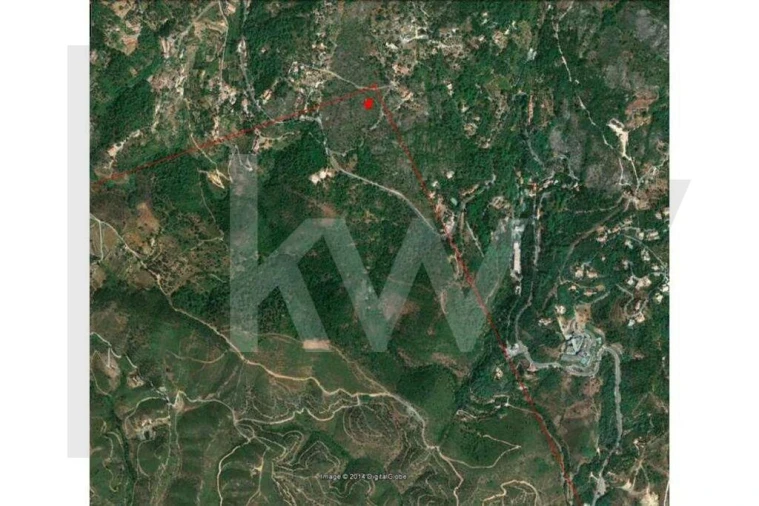 Terreno para Venda em Monchique Foto 3