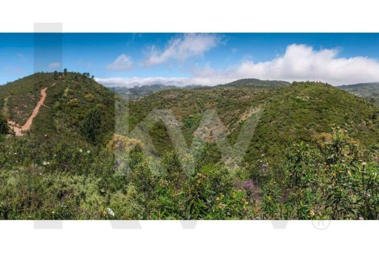 Terreno para Venda em Monchique Foto 16