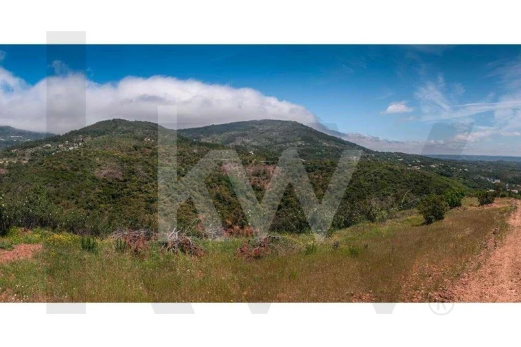 Terreno para Venda em Monchique Foto 12