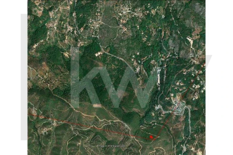 Terreno para Venda em Monchique Foto 17