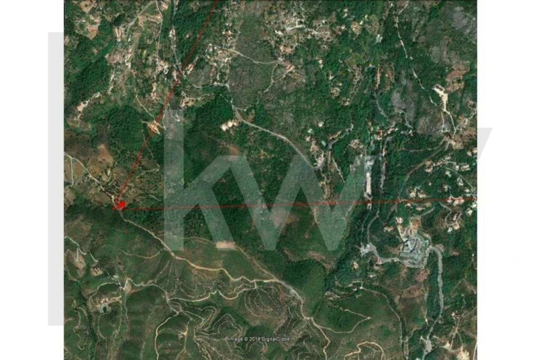 Terreno para Venda em Monchique Foto 10