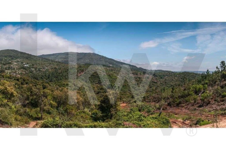 Terreno para Venda em Monchique Foto 2