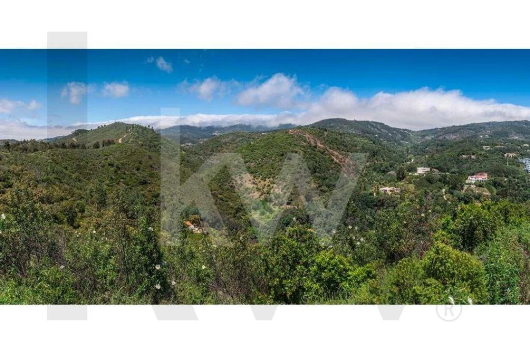 Terreno para Venda em Monchique Foto 18