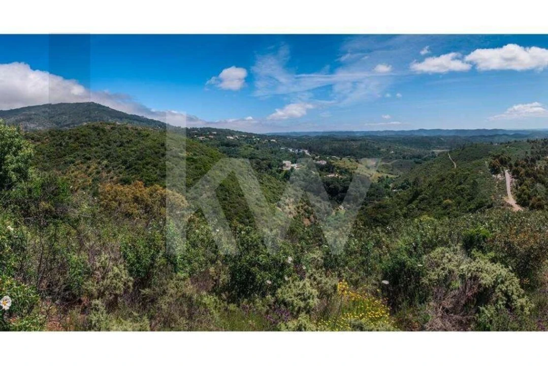 Terreno para Venda em Monchique Foto 14