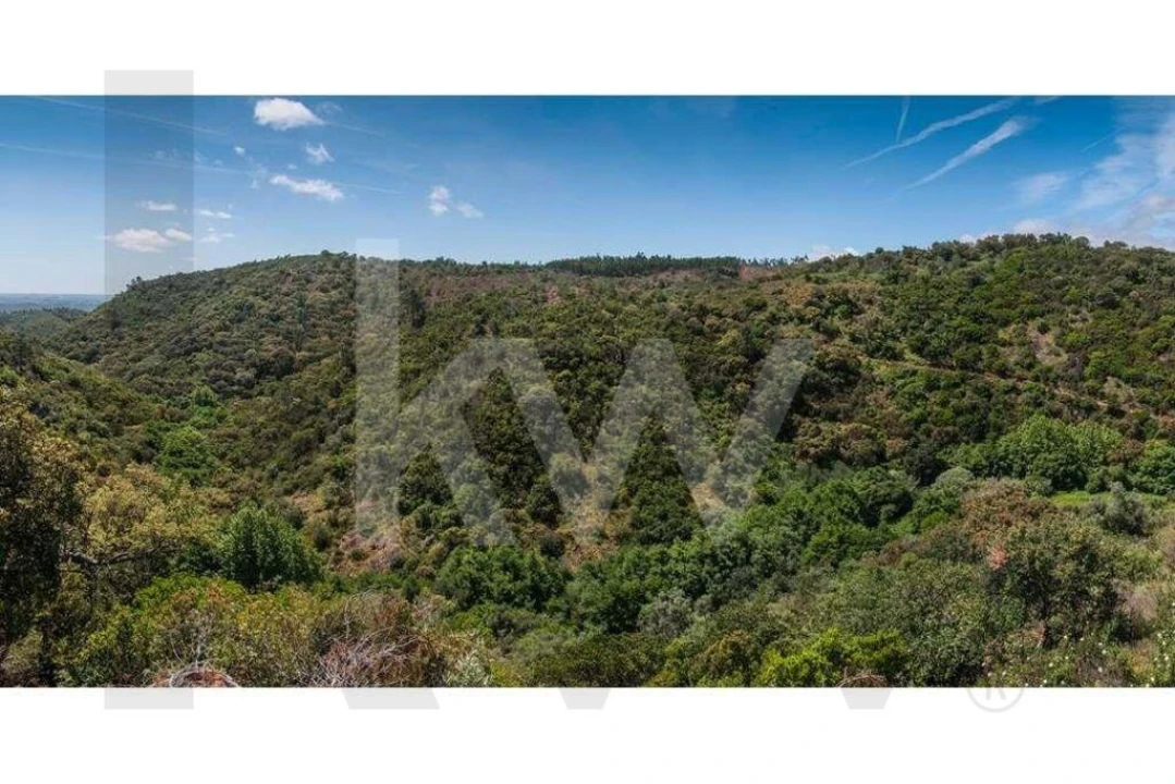 Terreno para Venda em Monchique Foto 9